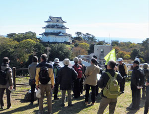 八幡山古郭東曲輪