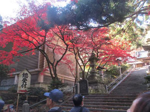 瑠璃門ー紅葉が綺麗ですー