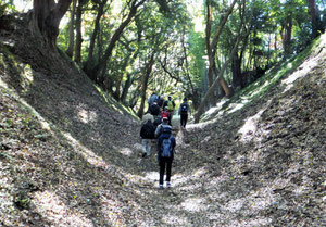 小峰御鐘ノ台大堀切(東堀)