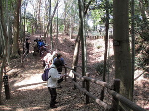 小机城址土橋