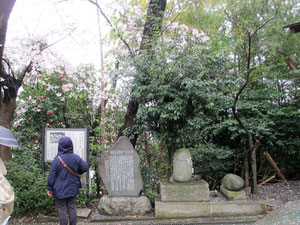 驚神社境内「力石」