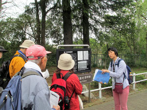 月見野遺跡群