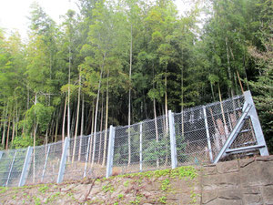 荏田城址