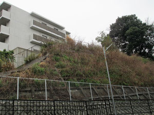 観福寺北遺跡群
