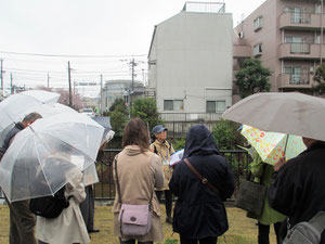 築地の土手