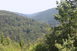 Ausblick unterhalb der Spitzhütte