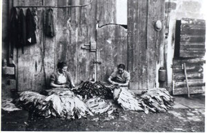 Maria und Hedwig Weber beim Tabakeinfädeln in der Gochsheimerstrasse