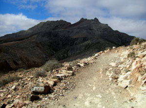 Montaña Cardón