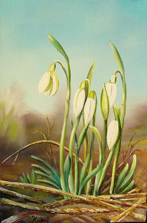 Schneeglöckchen, 20x30, Öl auf Leinwand im Schattenfugen-Rahmen