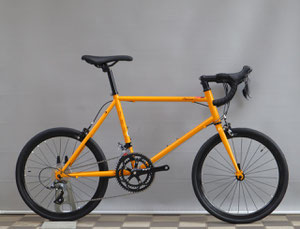 Fuji Helion : r/minivelo