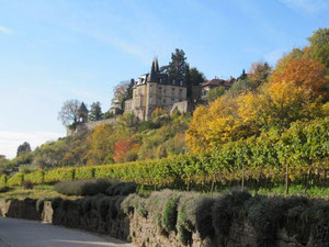 Haardter Schloss (Herbst)