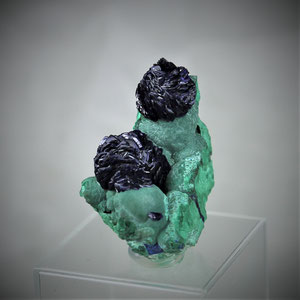 Azurite " roses " on Malachite Bisbee Arizona USA