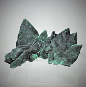 Malachite after Azurite Milpillas Mine Mexico