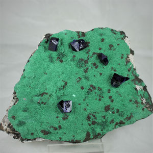 Azurite on Malachite Milpillas Mine Mexico