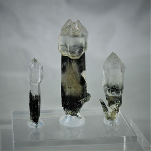 Scepter Quartz Gliedergang Pfitscher valley South Tyrol Italy