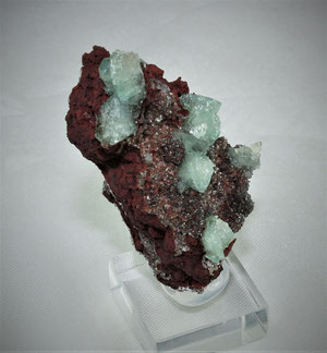 Cuprian Adamite Ojuela Mine Mapimi Durango Mexico