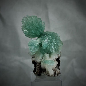 Apophyllite " bow tie " Aurangabad Maharashtra India