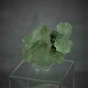 Prehnite " bow tie " Ait. Karmous Mine Boulemane-Fes Morocco