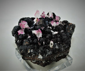 Manganoan Adamite with Lotharmeyerite on Chalcophanite Ojuela Mine Mexico