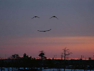 .... Merci ! ... Et le ciel vous sourit...