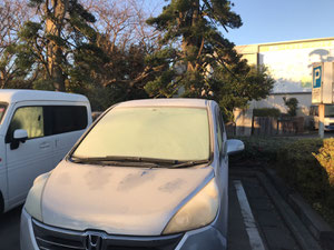 朝は氷点下まで冷え込みました。