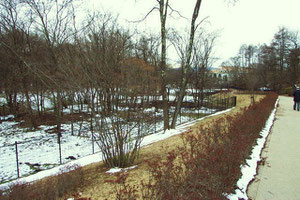 湯川公園（北）