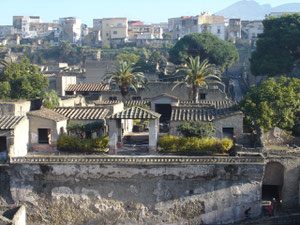 You can visit the excavations of Herculaneum with your private guide