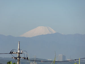 　　白化粧の富士山