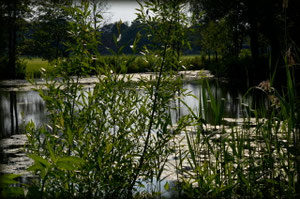 (c) 2013 Werner Langen