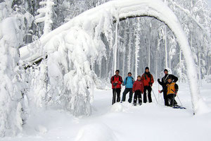 Wanderung duch den Winterwald