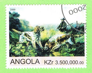 ANGOLA 2000 - dogs