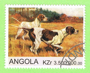 ANGOLA 2000 - dogs