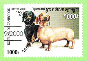 Cambodia 2000 - dogs - Two dachshunds