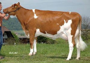 Lorina V: Dominator