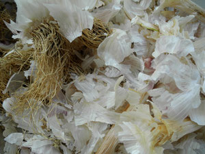 Knoblauch Schalen