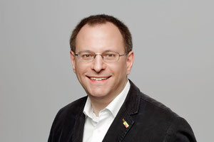 Felix Haltt, Fraktionsvorsitzender