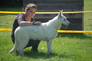 Regna of White Ivory