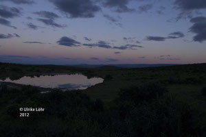 Morgenstimmung im Addo