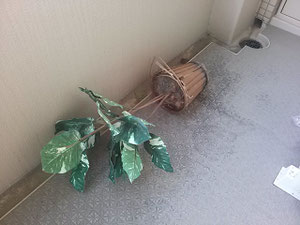 大阪兵庫で家事代行サービスはお掃除上手で快適な暮らしをご提案