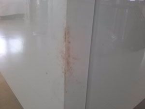 大阪兵庫で家事代行サービスはお掃除上手で快適な暮らしをご提案