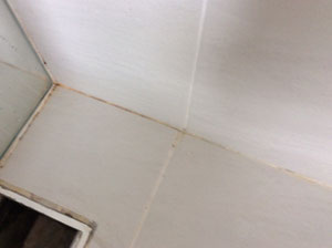 大阪兵庫で家事代行サービスはお掃除上手で快適な暮らしをご提案