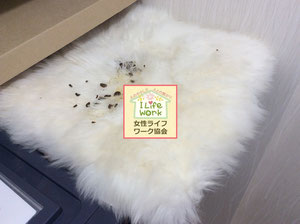 大阪兵庫で家事代行サービスはお掃除上手で快適な暮らしをご提案