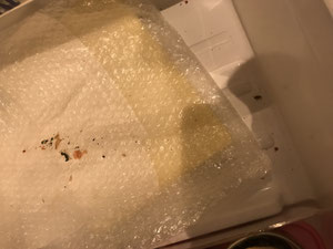 大阪兵庫で家事代行サービスはお掃除上手で快適な暮らしをご提案