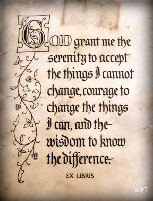 The Serenity Prayer is a coping strategy that I use frequently in my life. I testify to its efficacy.