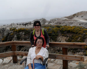 © Steven. At Bird Island at Point Lobos, Carmel.