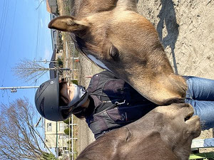 馬との信頼関係