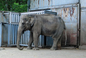 東京インテリア/東京デザインセンター/家具/インテリア/栃木県鹿沼市/宇都宮動物園