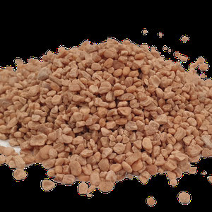 NOCCIOLINO DI OLIVA
