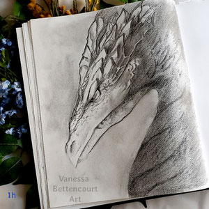 #dragon, dragon, dragon sketch, sketch, sketchbook