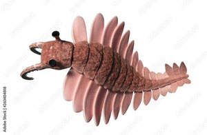 Illustration de Anomalocaris canadensis